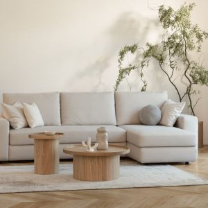 tables basses salon
