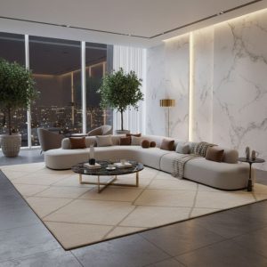 salon moderne​
