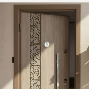 porte appartement blindée​​
