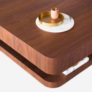 table basse de salon​